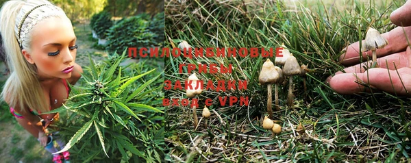 кокаин колумбия Алзамай