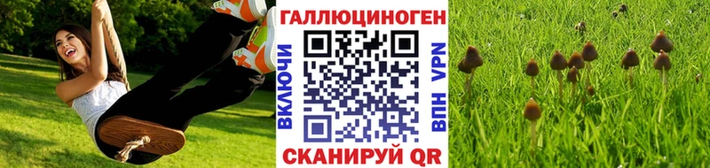Галлюциногенные грибы MAGIC MUSHROOMS  Ярцево 